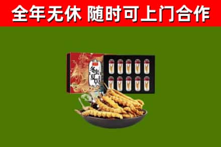 杂多回收冬虫夏草价格